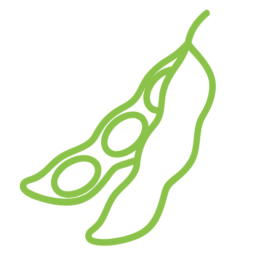 Home sridhaam svg2 (1)